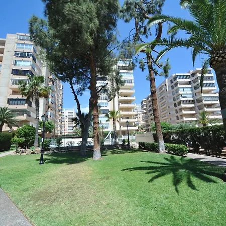 Madeira Superior Orangecosta * Benicassim